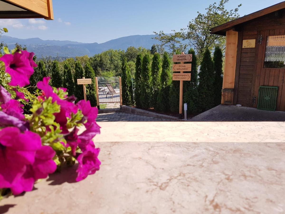 Agriturismo La Giasena Понте-нель'Альпі Екстер'єр фото